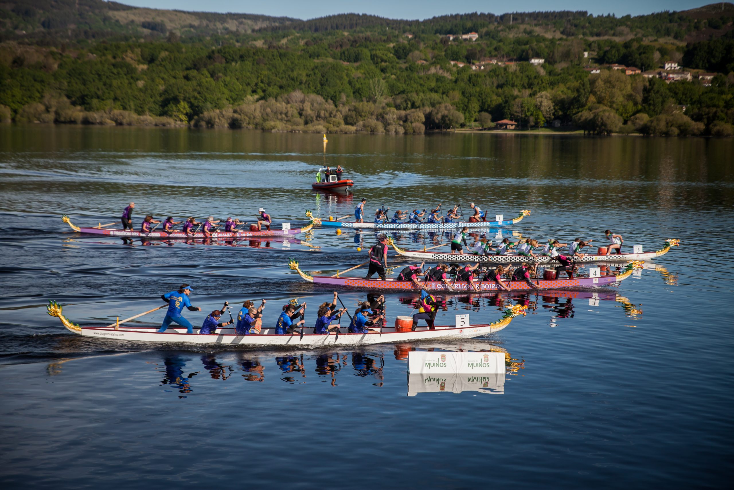 Dragon Boat Marina Valencia